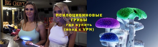 ПСИЛОЦИБИНОВЫЕ ГРИБЫ Навашино