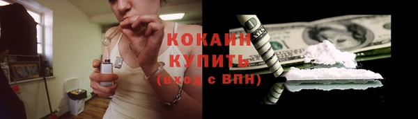 ПСИЛОЦИБИНОВЫЕ ГРИБЫ Навашино