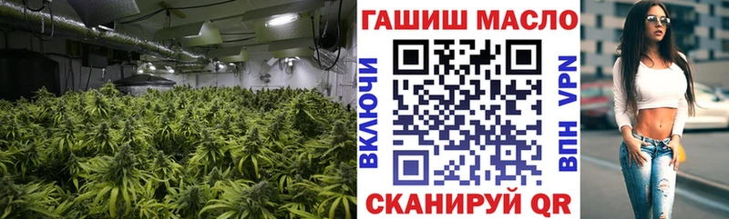 MEGA рабочий сайт  Кемь  Дистиллят ТГК THC oil 